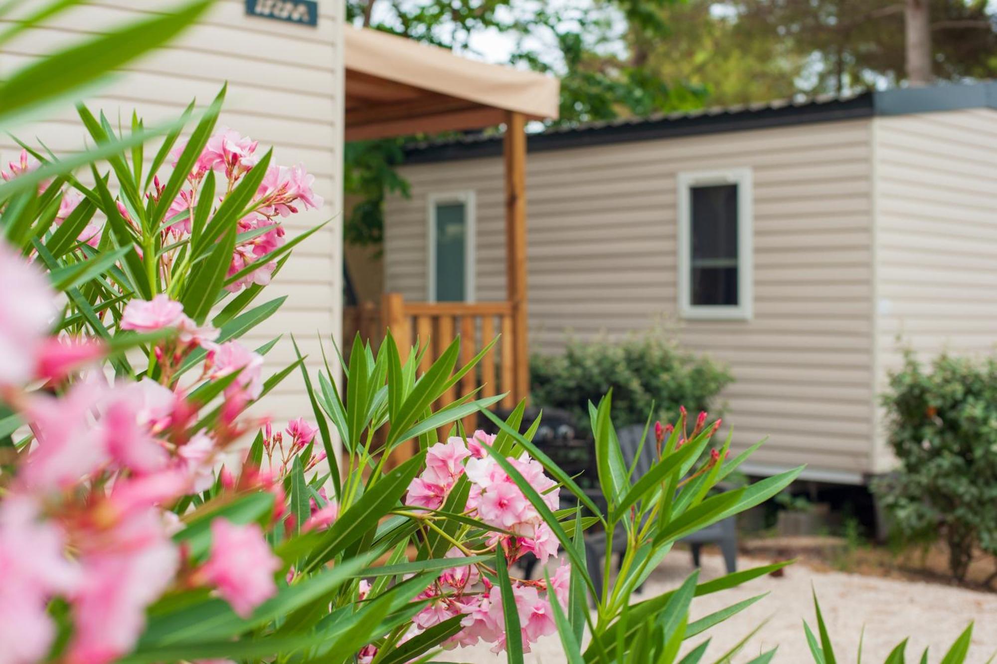 Camping Les Jardins D Agathe Le Grau-dʼAgde Esterno foto