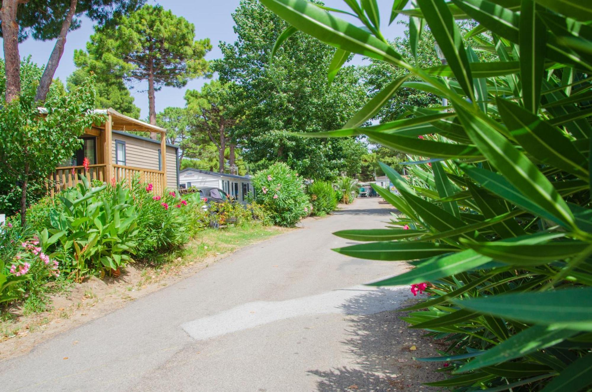 Camping Les Jardins D Agathe Le Grau-dʼAgde Esterno foto