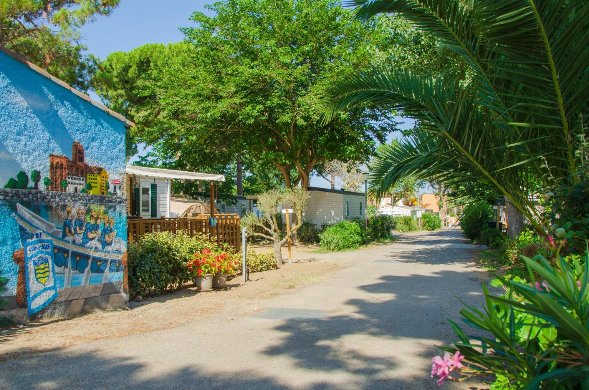 Camping Les Jardins D Agathe Le Grau-dʼAgde Esterno foto