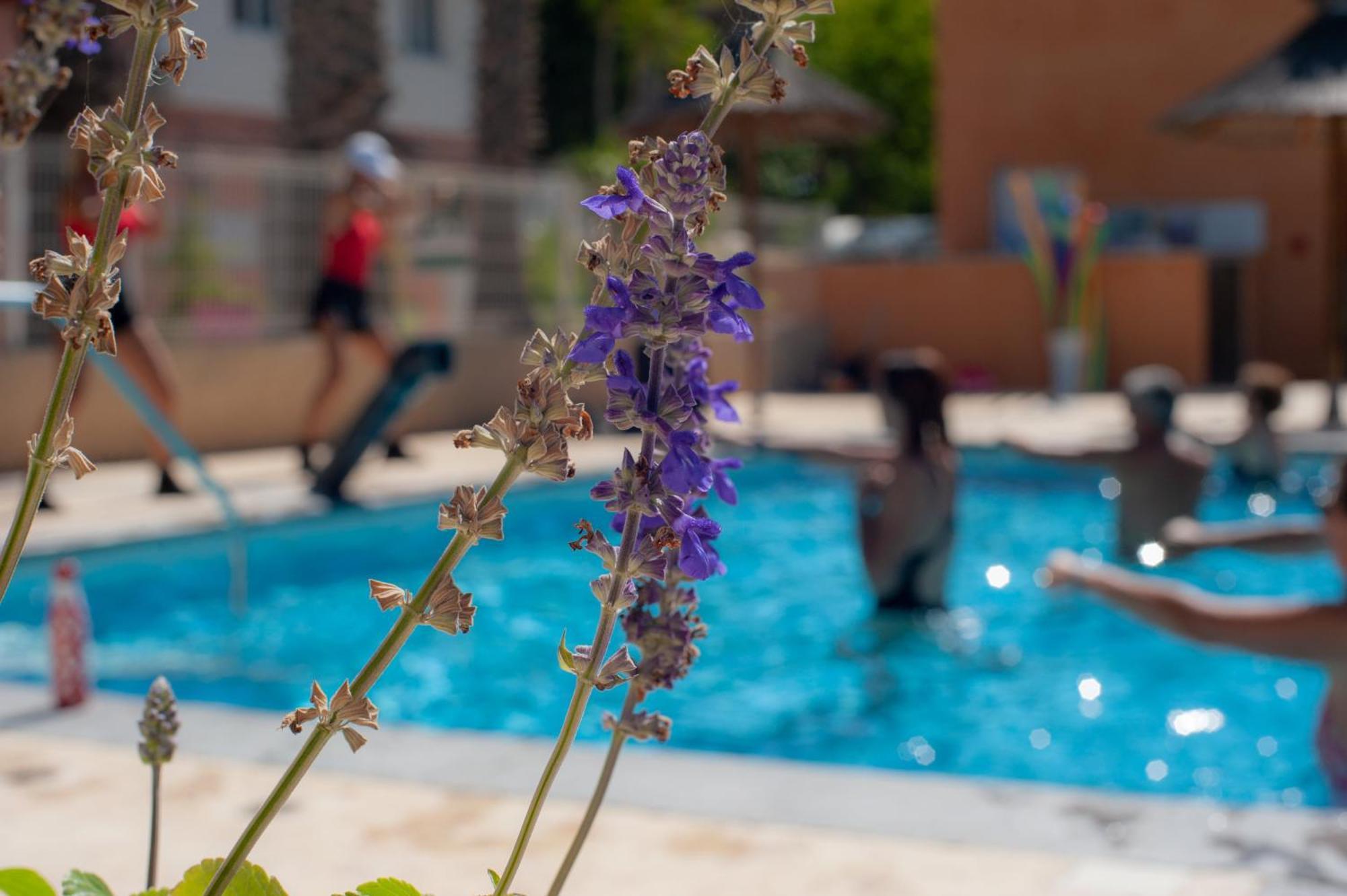 Camping Les Jardins D Agathe Le Grau-dʼAgde Esterno foto