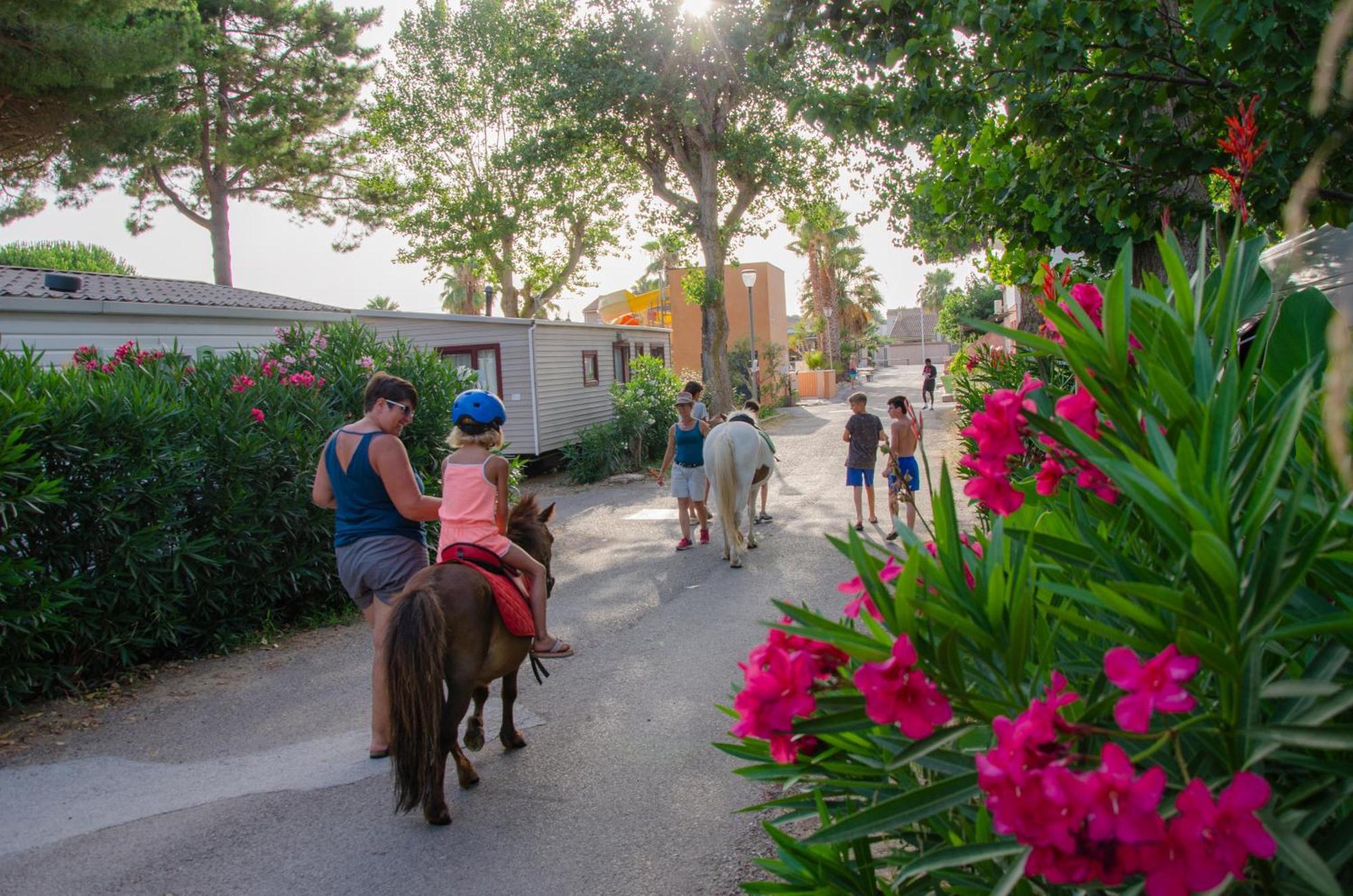 Camping Les Jardins D Agathe Le Grau-dʼAgde Esterno foto